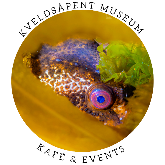 Marine biodiversity workshop with Rissa Citizen Science