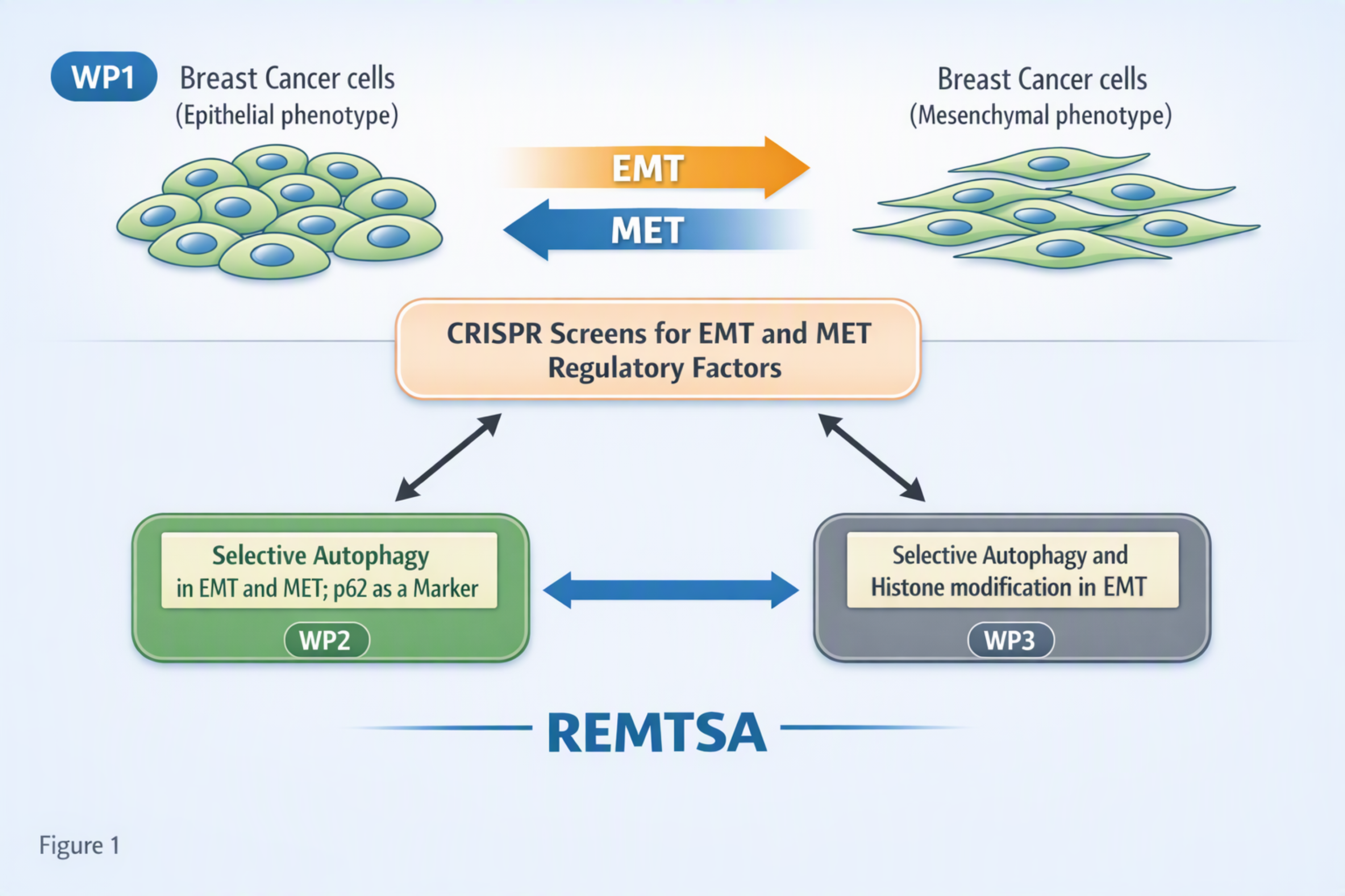 REMTSA Project summary