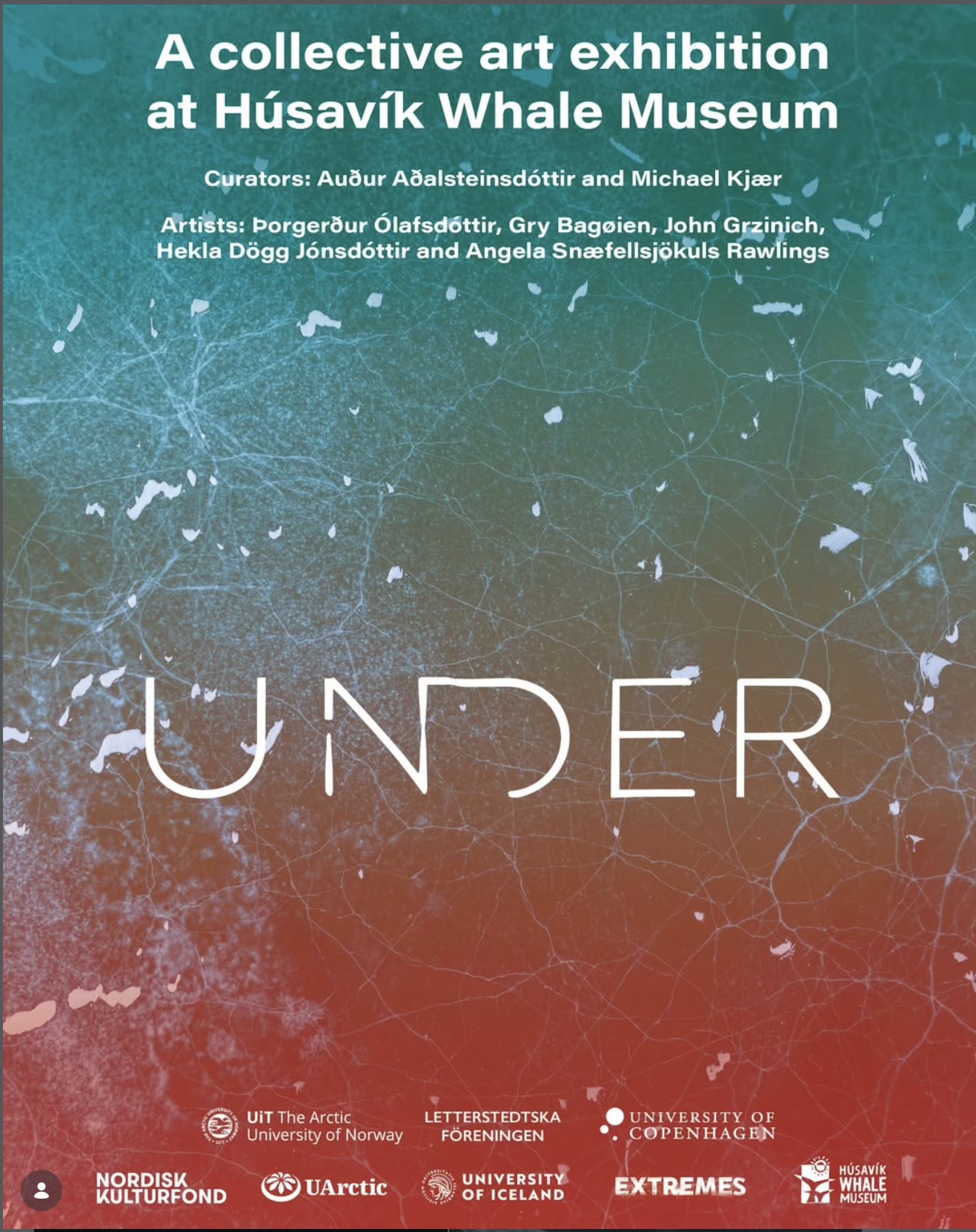 Undir_poster