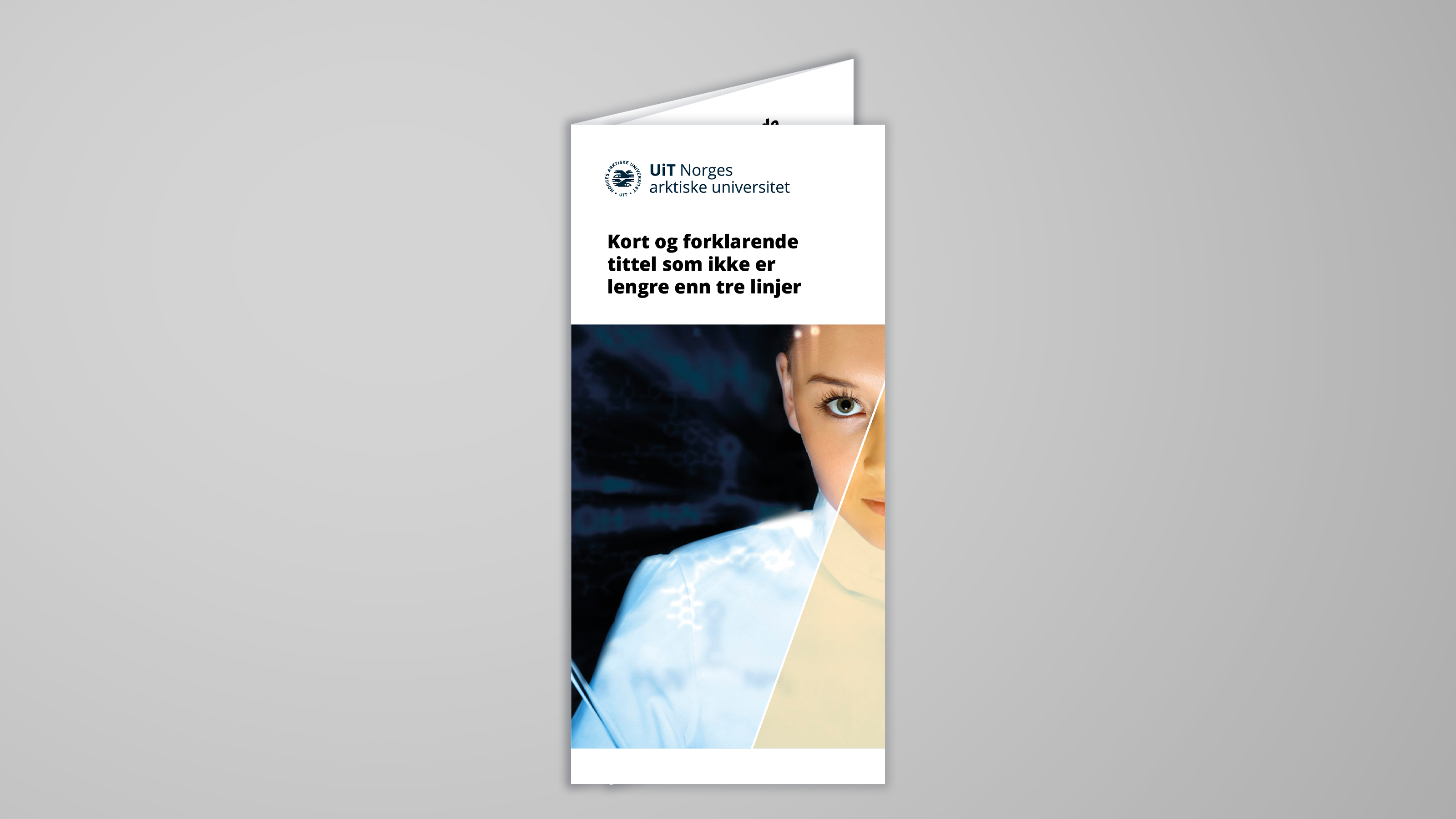 Illustrasjon som viser eksempel på sekssiders folder